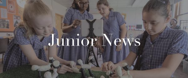 Junior News
